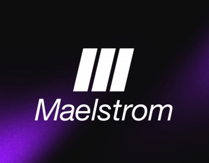 North Street Creative Wins Gold in Corporate Identity - Brand Identity for Maelstrom!