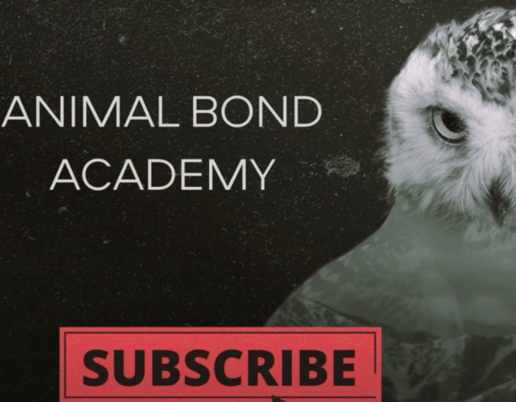 Association for Human-Animal Bond Studies Wins Silver with Captivating TV Series!