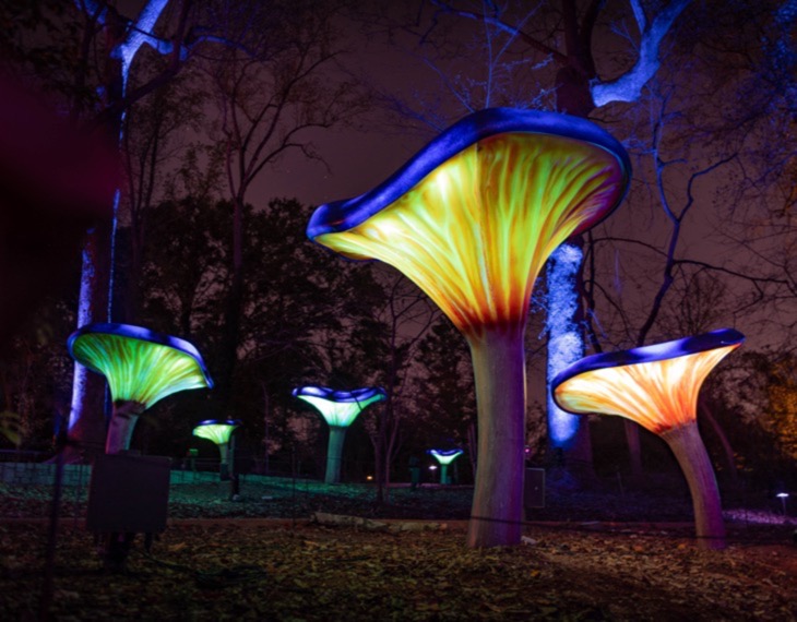 Thinkwell Group Wins Gold for Wildwoods: AGLOW at the Fernbank Museum!