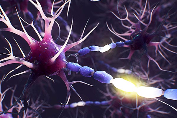 Random42 Scientific Communication has won multiple awards at the 2025 MUSE Creative Awards!